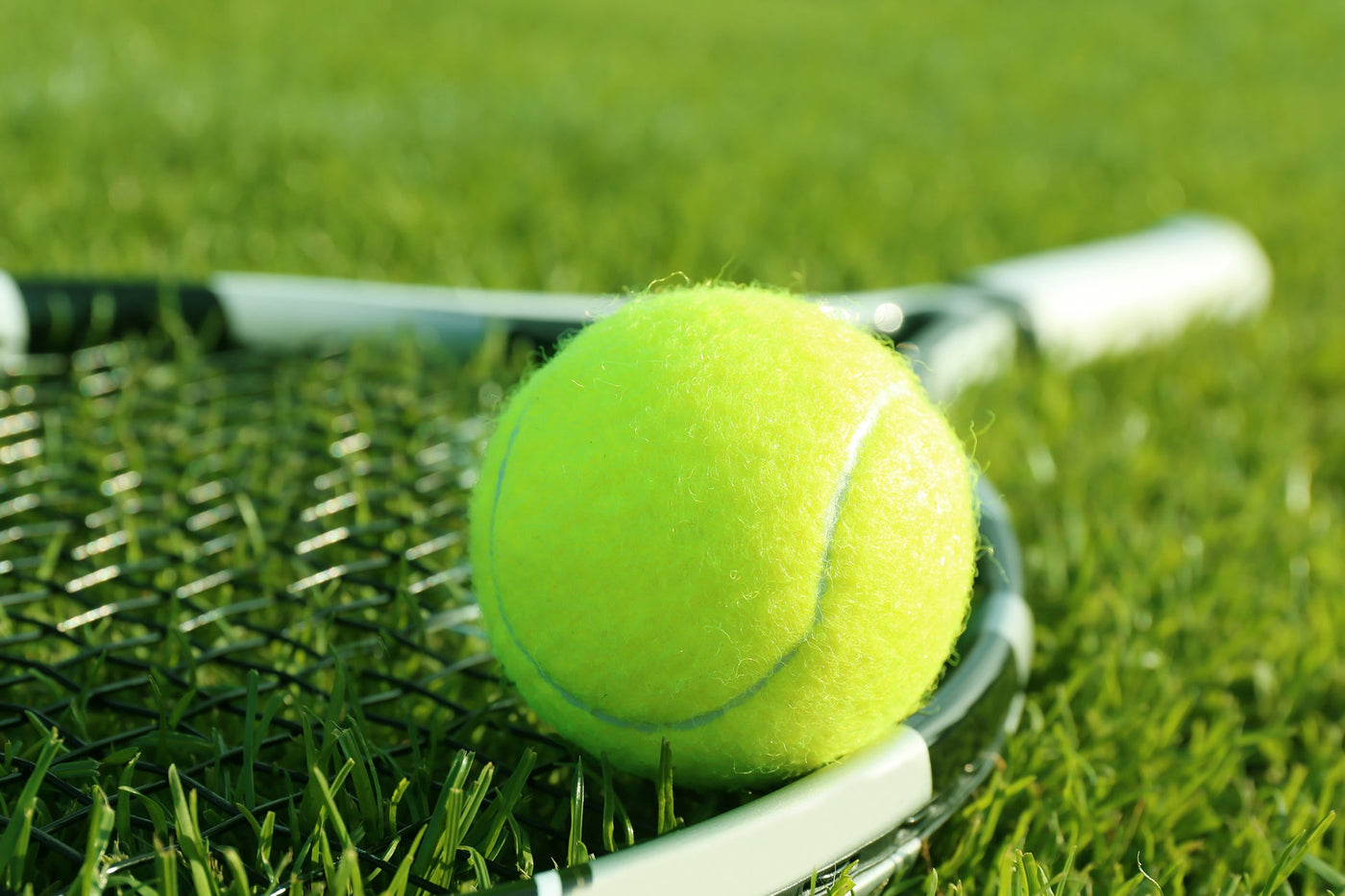 Tennis ball on a tennis racket on grass